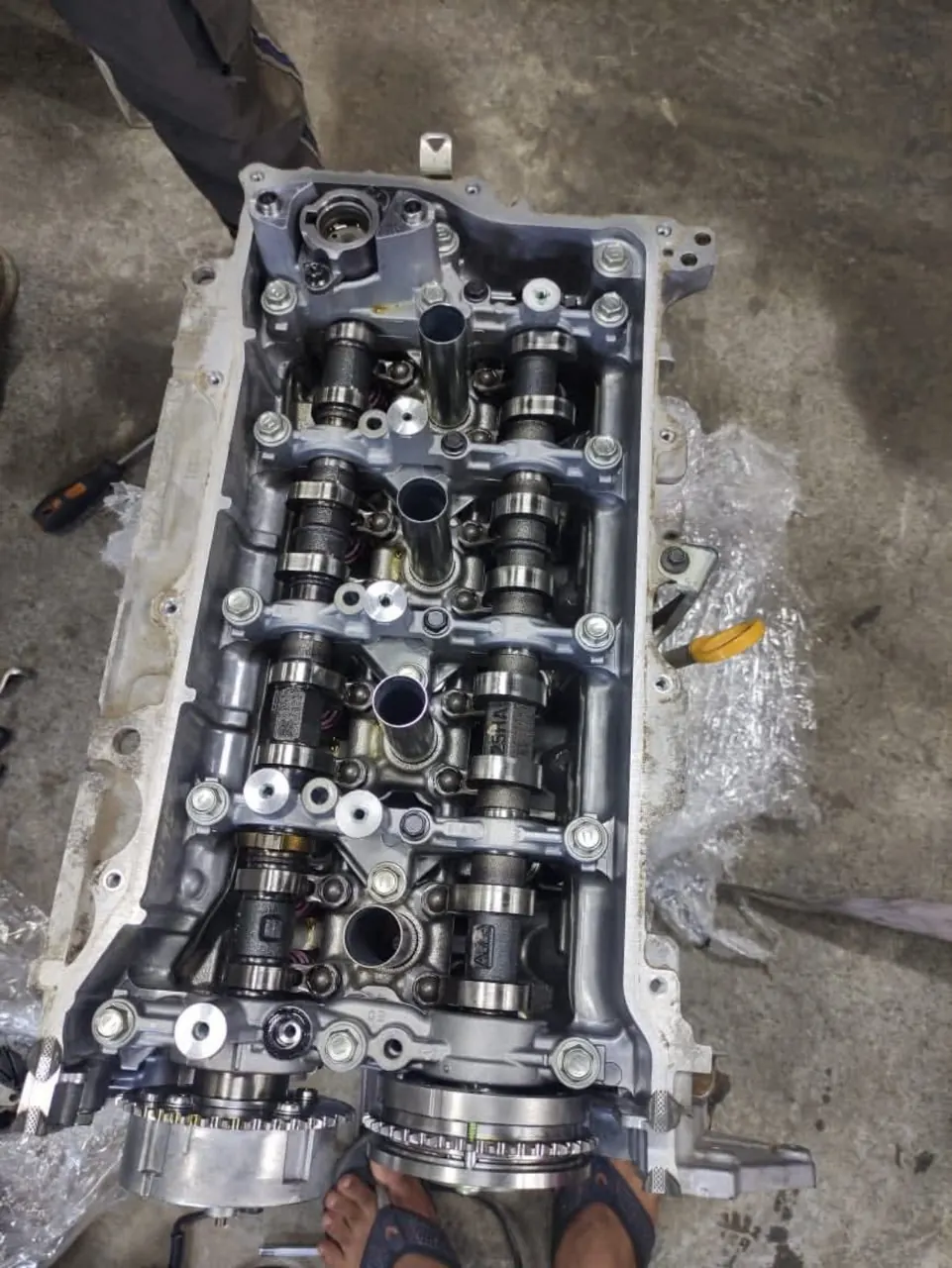 Engine cylinder head and camshaft assembly